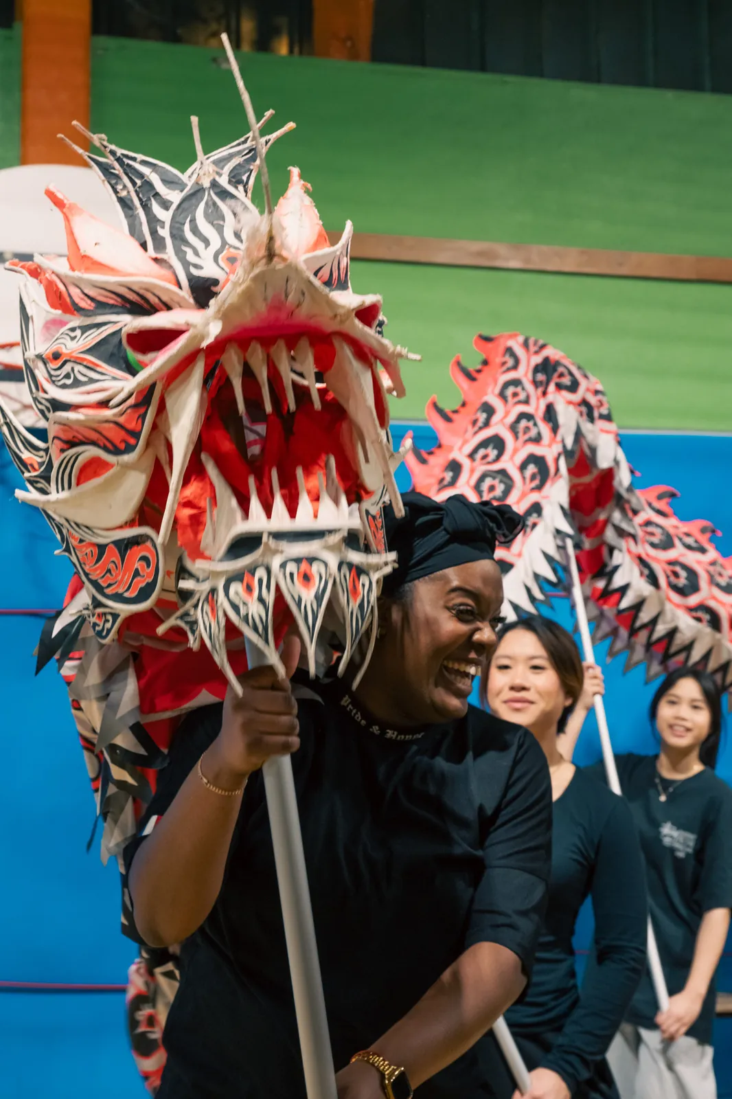 Tête de lion en gros plan — costume traditionnel 13AS