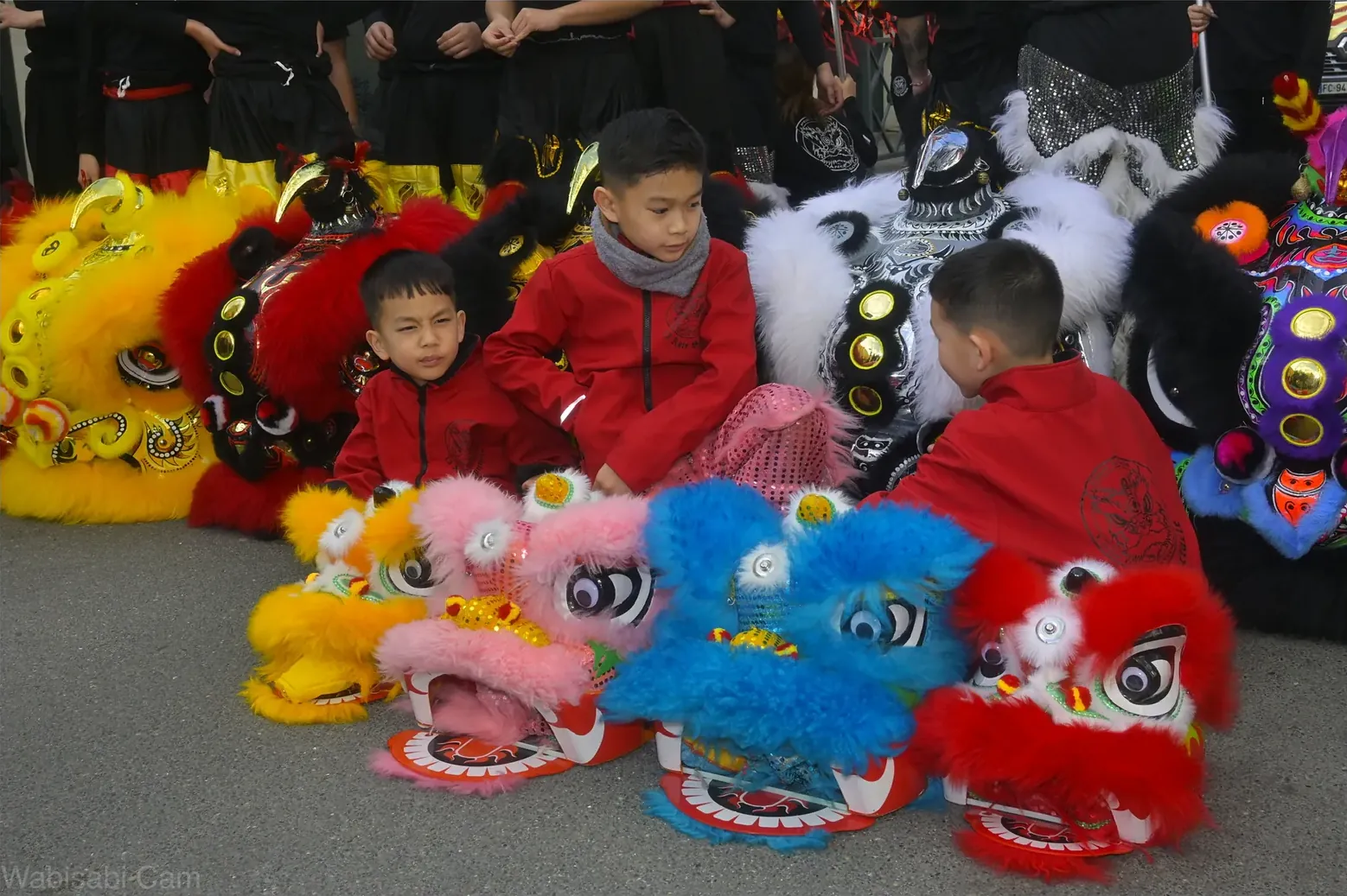 Costumes et accessoires 13AS — tête de lion et mascottes