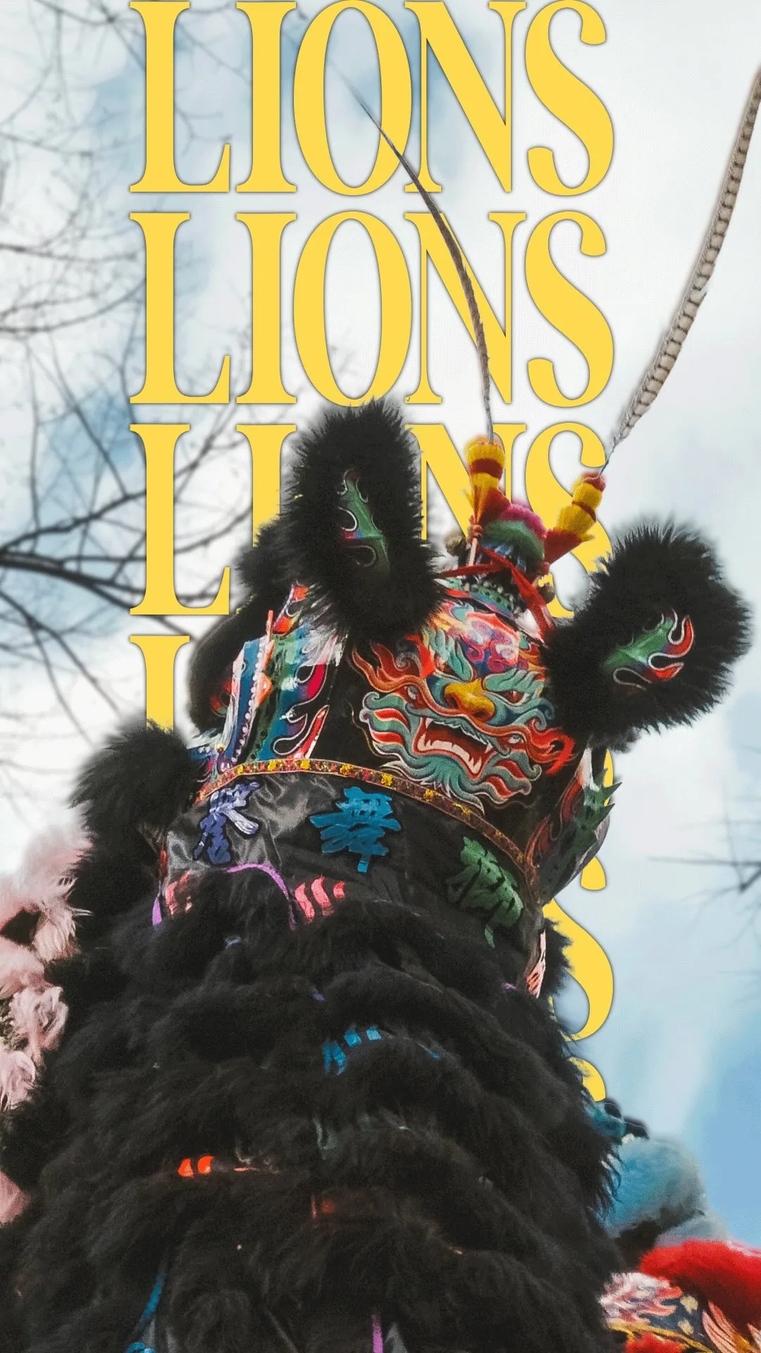 Lion noir traditionnel — danse du lion 13AS Paris