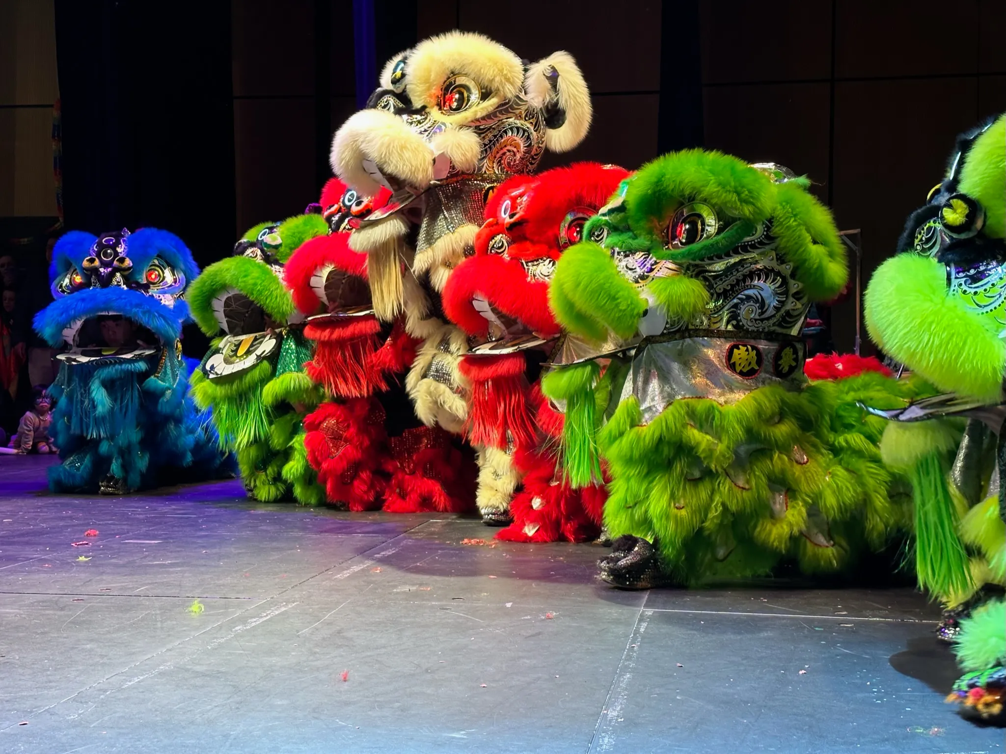 Formation de lions multicolores — chorégraphie en salle 13AS