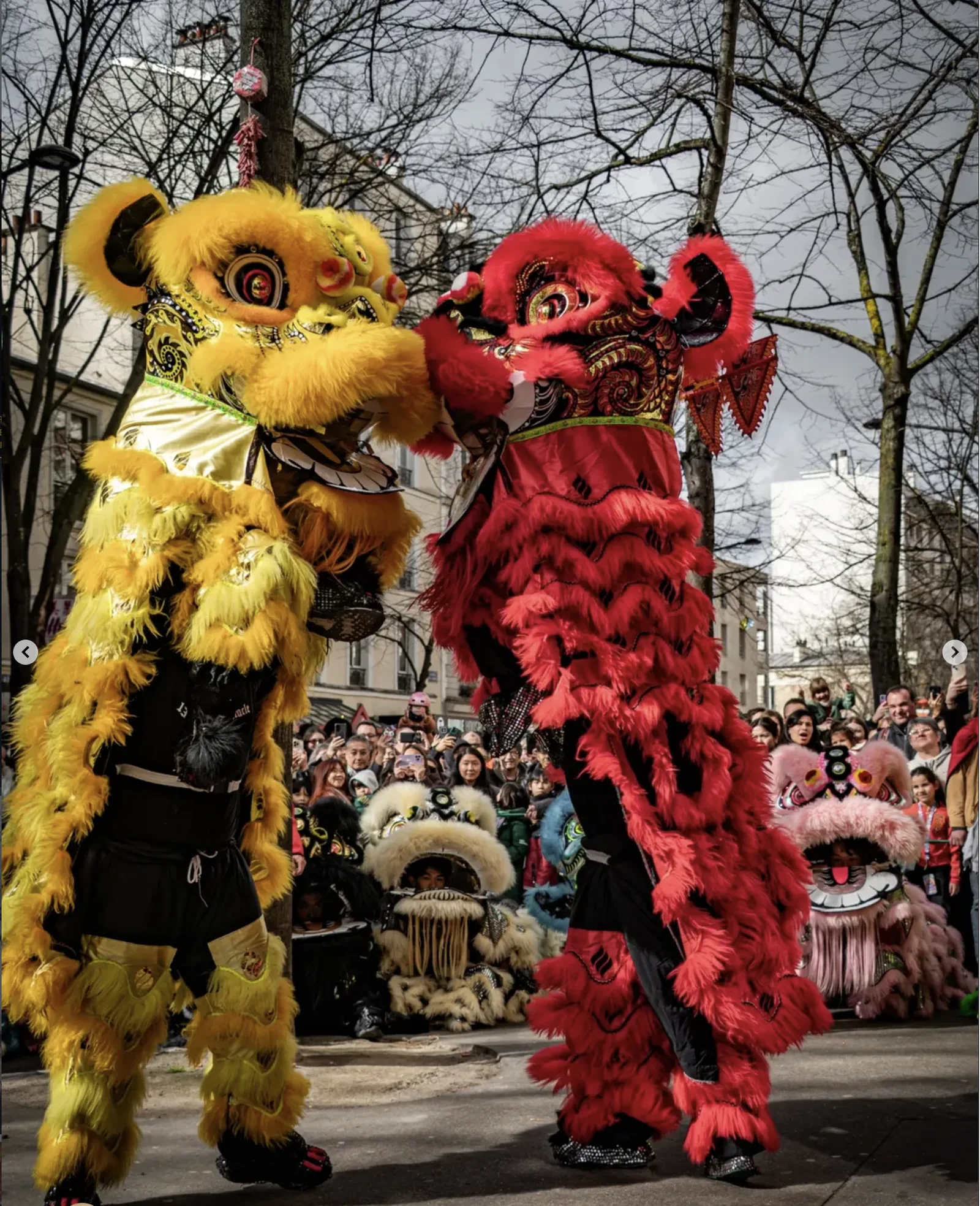 Lion rouge et jaune — costume traditionnel chinois 13AS