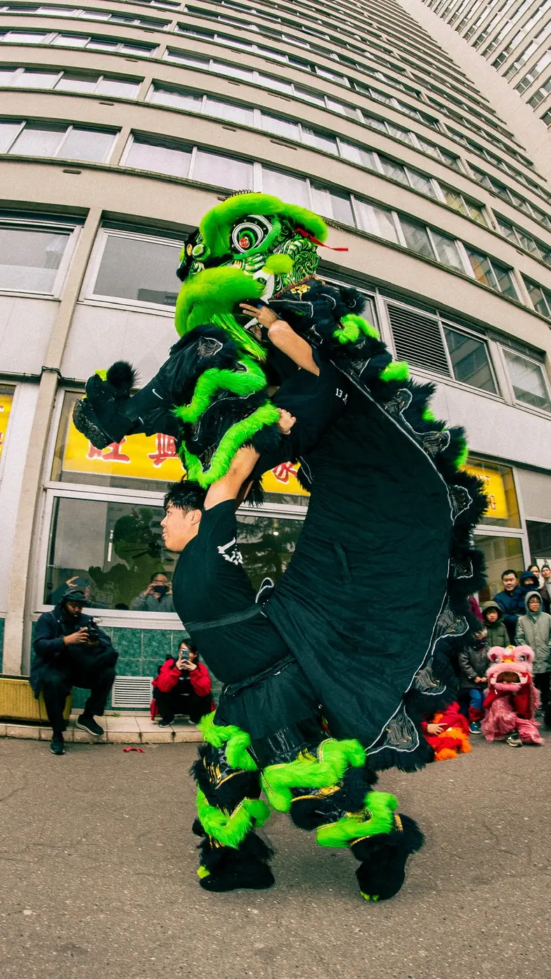 Lion vert et noir en pleine danse — Nouvel An chinois 13AS