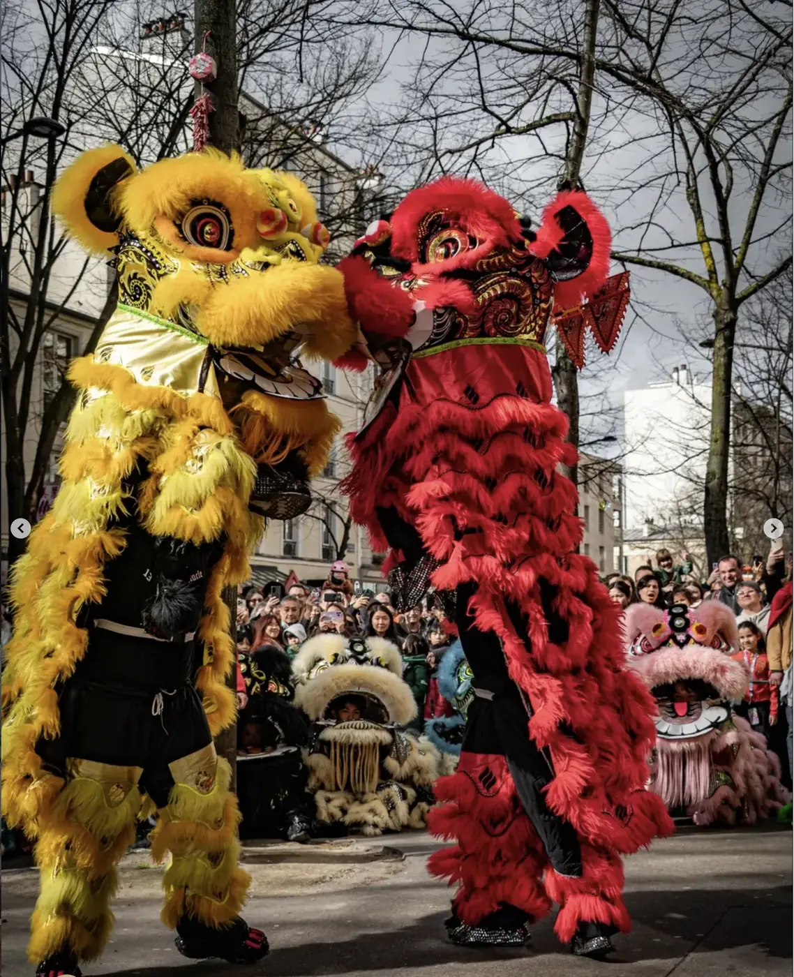 Lions jaune et rouge côte à côte — défilé Nouvel An 13AS