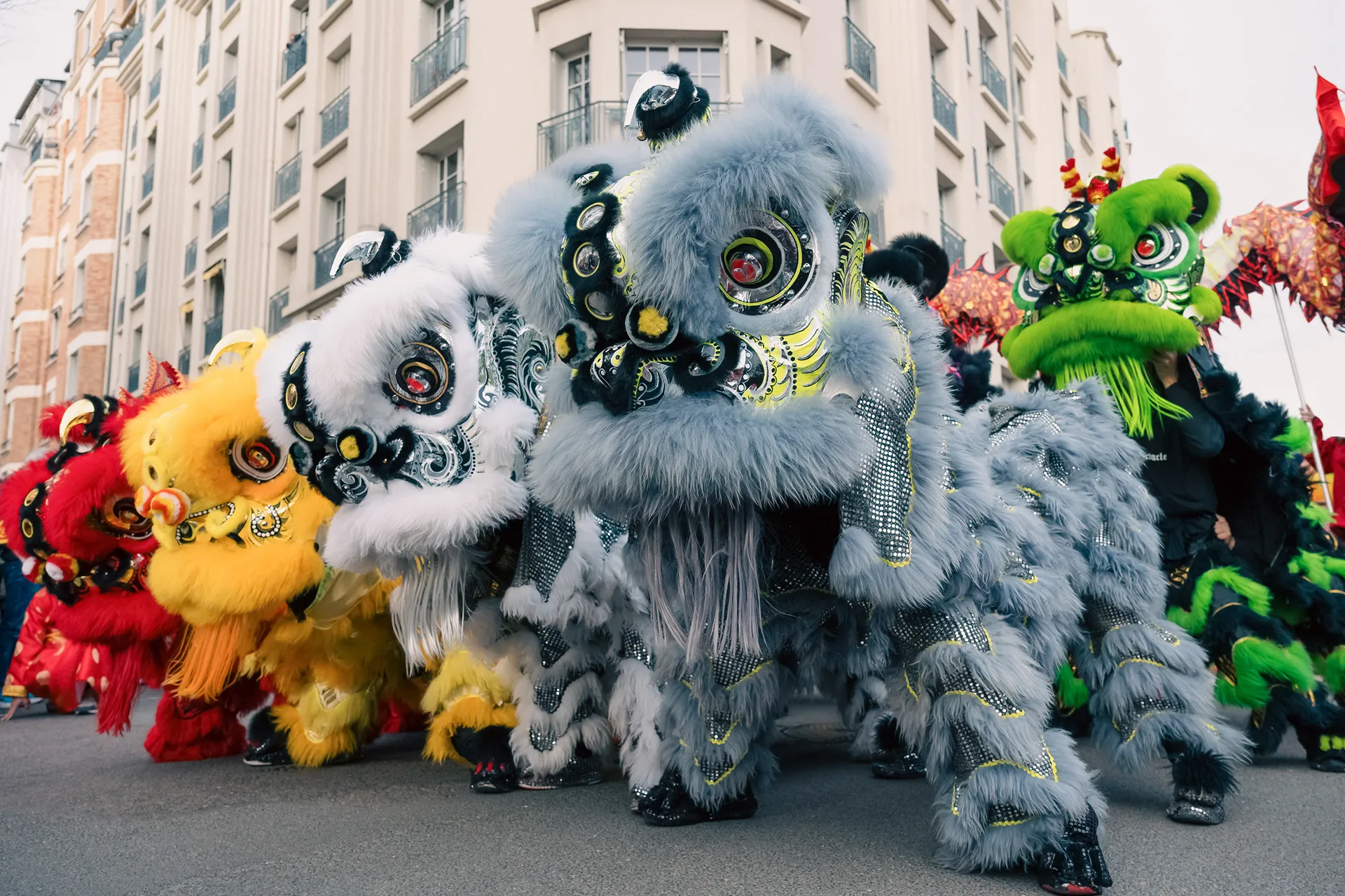 Plusieurs lions multicolores rassemblés — Nouvel An chinois 13AS